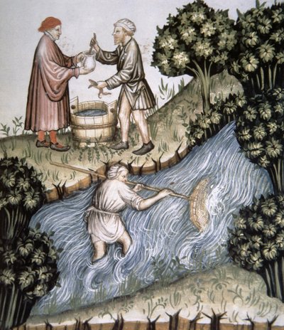 Fol.84r मत्स्य पालन, टाक्यूइनम सैंटियाटिस कोडेक्स विंडोबोनेंसिस से चित्रण द्वारा इतालवी स्कूल