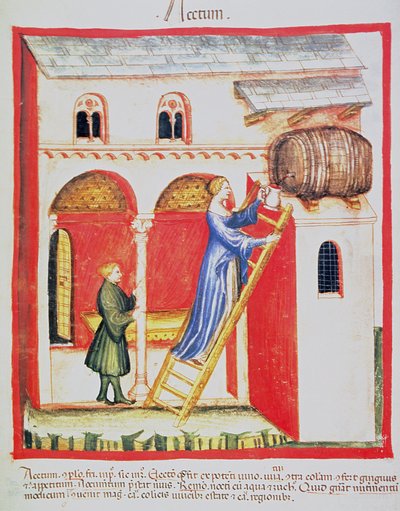 Fol.85v सिरका, Tacuinum Santiatis कोडेक्स Vindobonensis से चित्रण द्वारा इतालवी स्कूल