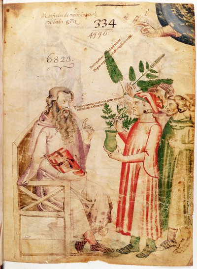 Ms Lat 6823 fol.1 मैनफ्रेडस डे मोंटे इम्पीरियल द्वारा डी हर्बिस से एक अज्ञात आदमी को पौधे भेंट करते द्वारा इतालवी स्कूल