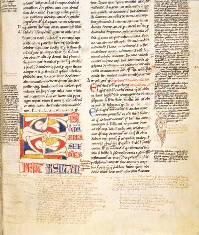 सुश्री मैकलीन 135, f.96r: एक पौधे के रूप-विवरण का इतिहास, प्रारंभिक सी, ग्राटियन्स डेक्रटम से, देर से सदी में द्वारा इतालवी स्कूल
