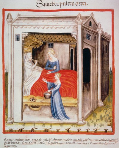 नई चखने 2644 fol.44v जौ सूप, स्वस्थ Tacuinum से द्वारा इतालवी स्कूल