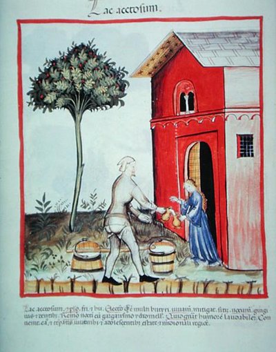 Nova 2644 fol.59v 'Tacuinum Sanitatis' (वेल्लम) से दही की बिक्री द्वारा इतालवी स्कूल