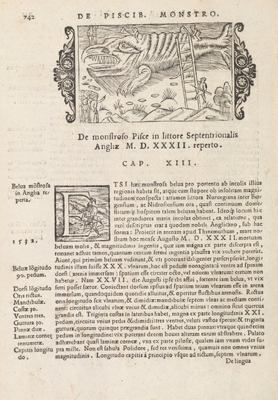 मैगनस Olaus, रोम 1565 (प्रिंट और उत्कीर्णन) द्वारा उत्तरी gentive से पेज 742 पर इतिहास द्वारा इतालवी स्कूल