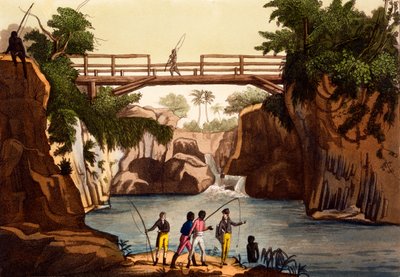 सैन बेनेडेटो के पास नदी रोकी, मेडागास्कर के आइल, Giulio Ferrario, C.1820s-30s द्वारा ... द्वारा इतालवी स्कूल