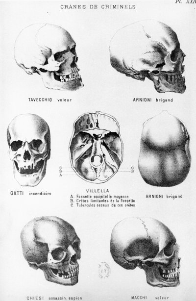 सेलेर लोम्ब्रोसो द्वारा लोमे क्रिमिनल (1835-1909) के मर्डरर्स की खोपड़ी, फेलिक्स अल्कैन, 1887 द्वारा प्रकाशित द्वारा इतालवी स्कूल
