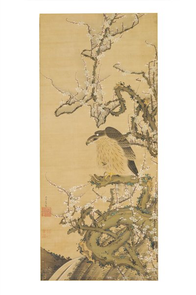  द्वारा इतो जकचु