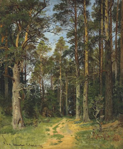 Siverskaya, 1896। द्वारा Ivan Ivanovich Shishkin