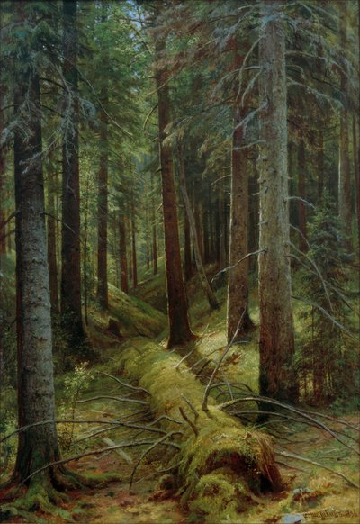 रूसी जंगल में द्वारा Ivan Ivanovich Shishkin