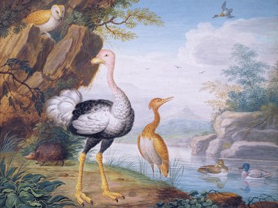 विदेशी पक्षी और एक नदी के किनारे एक उल्लू (अंगरक्षक) द्वारा J.F. Hefele