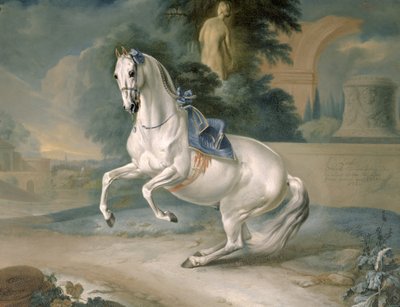 द व्हाइट स्टैलियन &39;लील&39; एन लेवडे, 1721 द्वारा J.G. and Brand, J.C. Hamilton