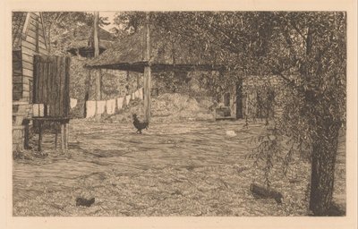  द्वारा अनास कॉलिन टोडौज़े