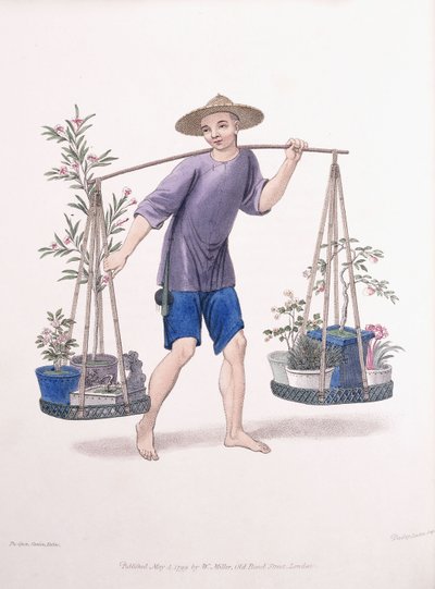 फलों के पेड़ और फूलों के साथ एक कुली, c.1800-01 द्वारा जे डैडली