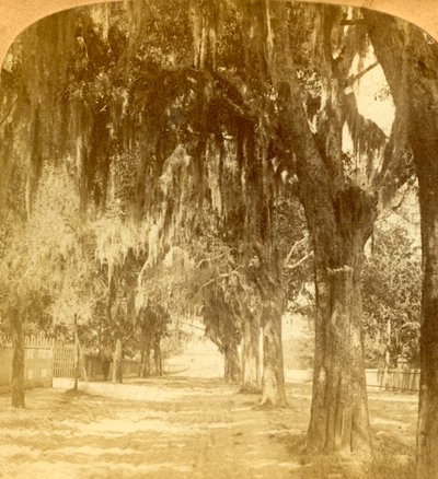 सेंट ऑगस्टीन, फ्लोरिडा, यूएसए, 1901 में प्रवेश। द्वारा जेएफ जार्विस