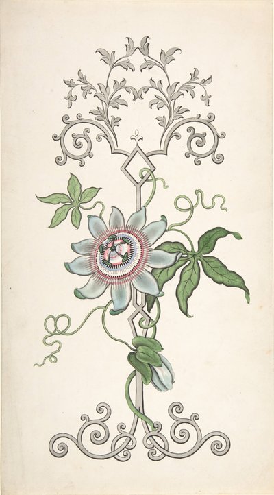 पैशन फ्लॉवर पर केंद्रित पैनल सजावट के लिए डिजाइन, 1828-40। द्वारा जे हुल्मे