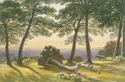 हैम्पस्टेड हीथ, लंदन, c1830 द्वारा जे पॉवेल
