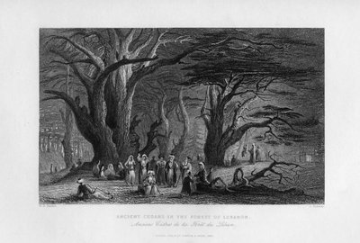 लेबनान के जंगल में प्राचीन देवदार, 1841 द्वारा जे। रिडवे