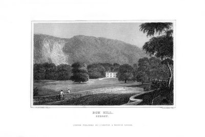 बॉक्स हिल, सरे, 1829। द्वारा जे रोजर्स