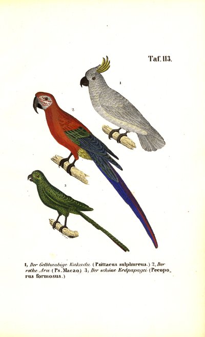  द्वारा J. W. Tenhaeff