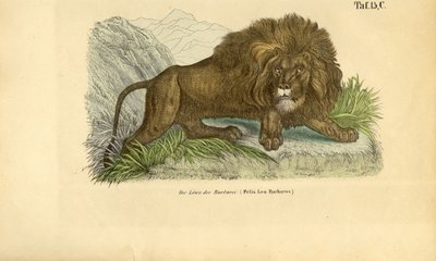  द्वारा 
