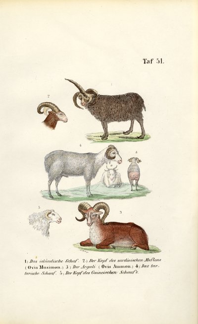  द्वारा 