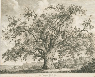 टटबरी - "विच एल्म": नक़्क़ाशी, एनडी [सी 1820] द्वारा जैकब जॉर्ज स्ट्रैट
