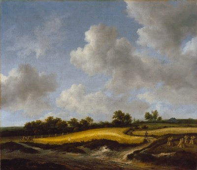 एक व्हीटफील्ड के साथ लैंडस्केप, c.1660 द्वारा जैकब वैन रुइसडेल