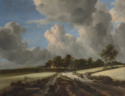गेहूं की उपज, c.1670 (कैनवास पर तेल) द्वारा जैकब वैन रुइसडेल