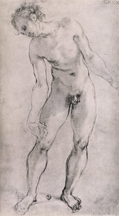 कैपेला कपोनी, सांता फ़ेलिसिटा, फ्लोरेंस, 1525-27 (चारकोल) में &39;डिपोजिशन&39; वेदी के लिए एक पुरुष व्यक्ति का अध्ययन द्वारा जैकोपो पोंटॉर्मो