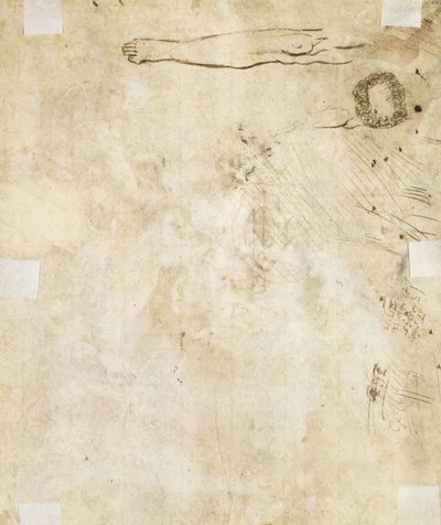 एक पैर का अध्ययन, पनपता है, और कामचोर, 1610-17 द्वारा जाक बेलांगे