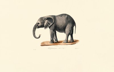  द्वारा 