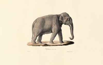  द्वारा 