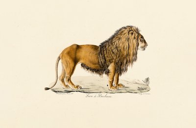  द्वारा 