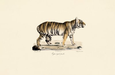  द्वारा 