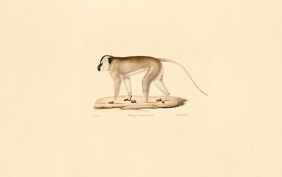  द्वारा 