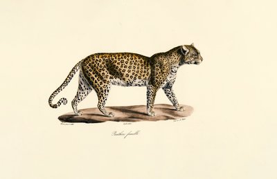 द्वारा 