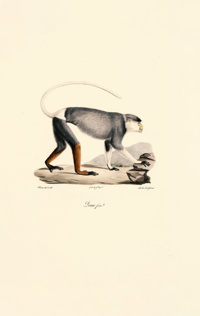  द्वारा 