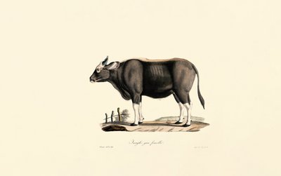  द्वारा 