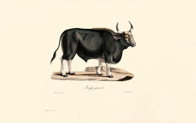  द्वारा 