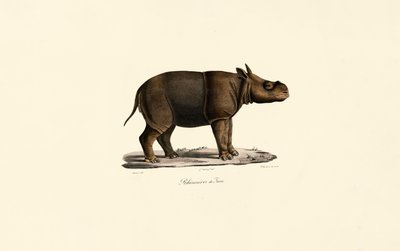 द्वारा 