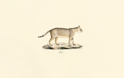  द्वारा 