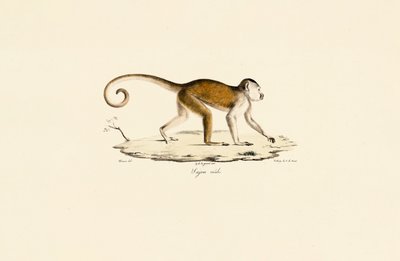  द्वारा 