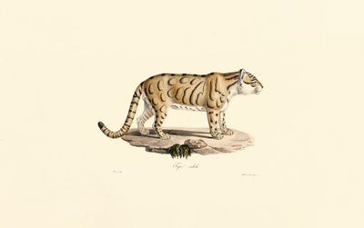  द्वारा 