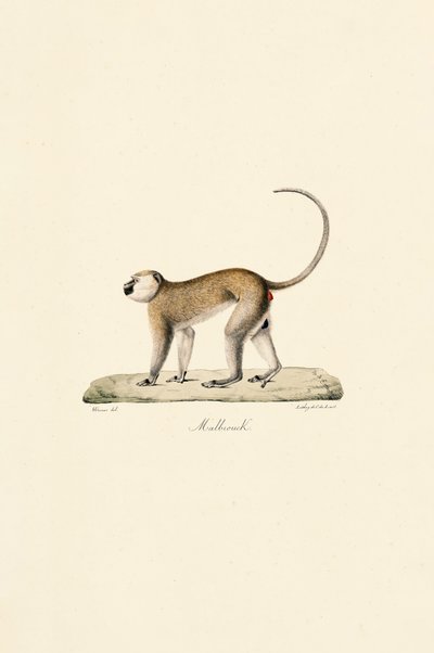  द्वारा 