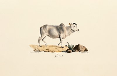  द्वारा 