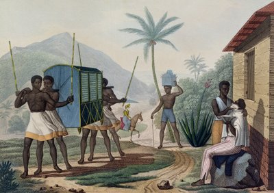 1817-20 में प्रकाशित चौबर्ड द्वारा उकेरी गई &39;यूरेजिया 1817-20 के कोरवेट पर दुनिया भर में यात्रा&39; से इले डी फ्रांस में एक पालकी का चित्रण किया गया। द्वारा जैक्स एटीन विक्टर अरागो