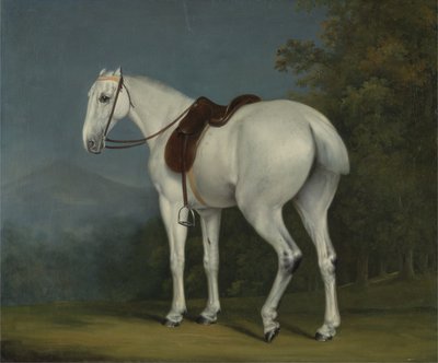 एक लेडीस ग्रे हंटर, c.1806 (कैनवास पर तेल) द्वारा जैक्स लॉरेंट अगासे