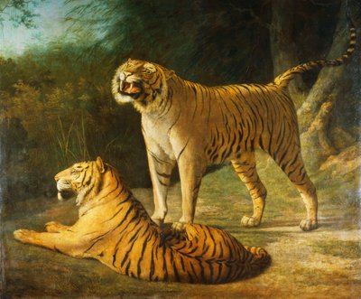 एक्सेटर में एक टाइगर और बाघिन "1808, 1808 में मेन्जरेरी बदलें द्वारा जैक्स लॉरेंट अगासे