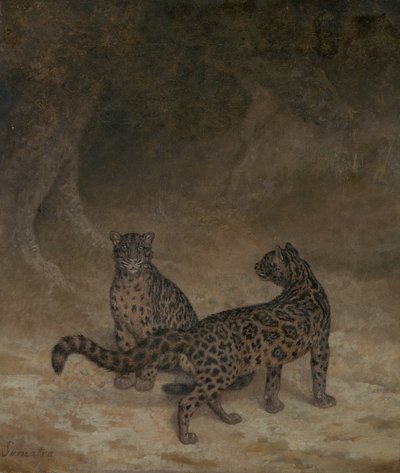 बादल वाले तेंदुए, c.1825 द्वारा जैक्स लॉरेंट अगासे