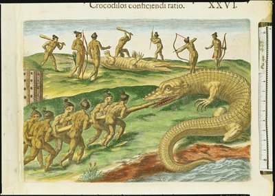थ्रोडोर डी ब्राय (1528-98) 1563 (180138 का विस्तार) द्वारा उत्कीर्ण &39;ब्रेविस नराटियो&39; से शिकार मगरमच्छ द्वारा जैक्स ले मोयने