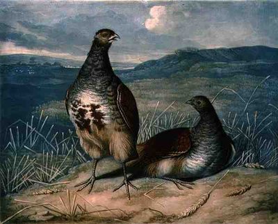 पार्ट्रिज, ब्रिटिश फेदर गेम की प्लेट 1, चार्ल्स टर्नर (1773-1857), पब द्वारा उकेरा गया। आर. एकरमैन द्वारा, c.1810 (मेज़ोटिन्ट उत्कीर्णन) द्वारा जेम्स (बाद में) बारेंगर